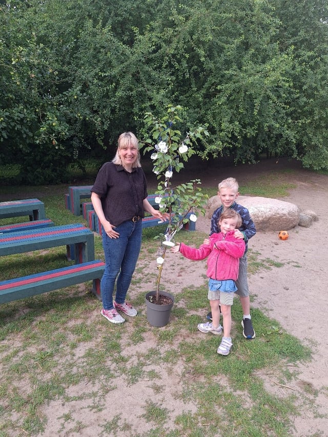 Kinnerhuus_Pflaumenbaum