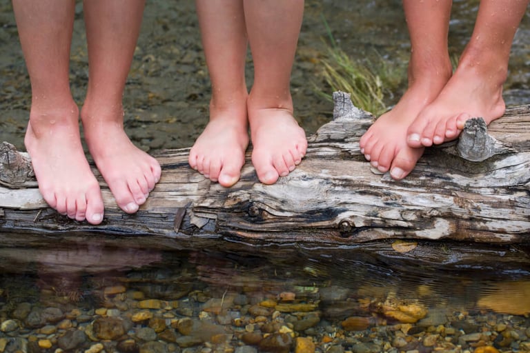Kinderfüße auf Baumstamm über Wasser ILL MV frühkindliche Bildung MV
