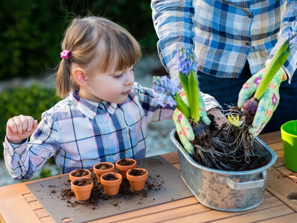 Kind im Kita Garten lernt Pflanzenpflege bei Kreativitätspädagogik MV