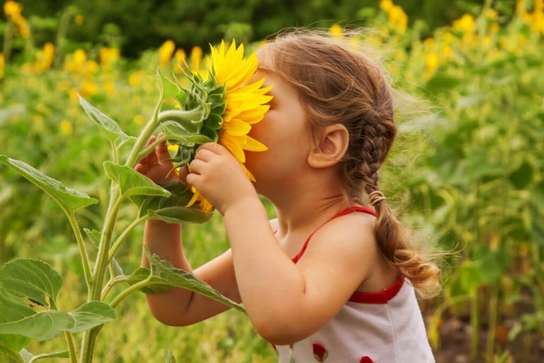 Kind in einem Sonnenblumenfeld symbolisiert Kreativitätspädagogik MV