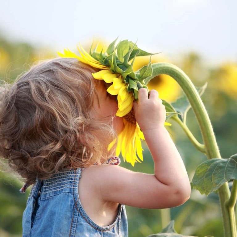 Kind mit Sonnenblume in der Natur Kreativität in Kitas MV