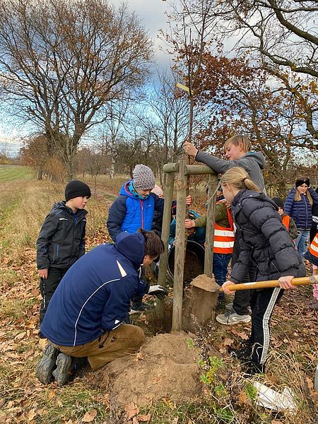 Hort Tausendfüßler – Bild 3