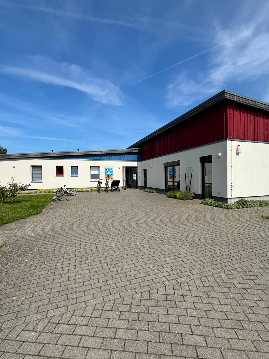Kita Larus ridibundus – Bild 1