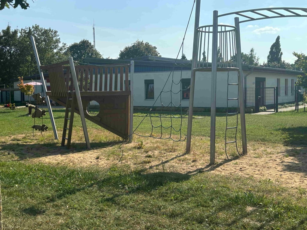 Kita Larus ridibundus – Bild 2