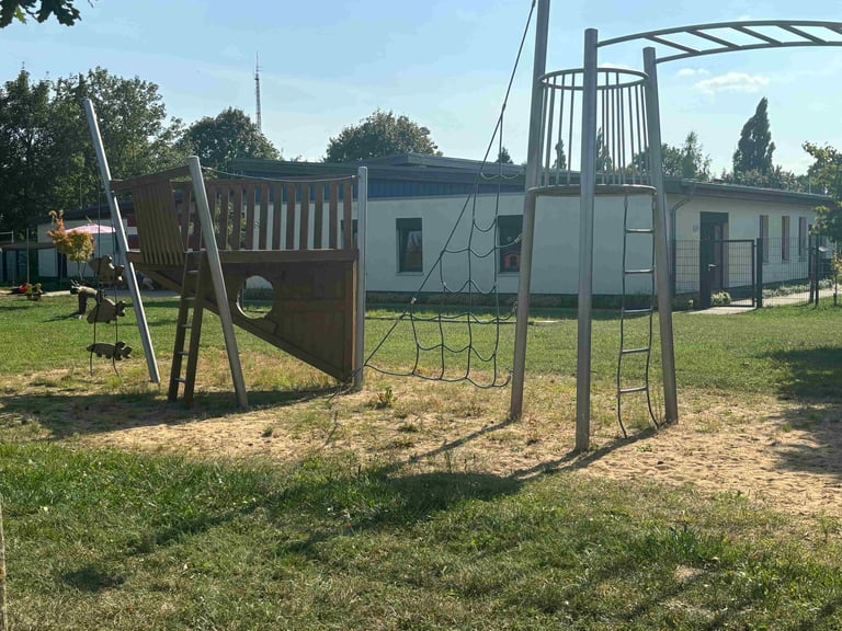 Kita Larus ridibundus – Bild 2