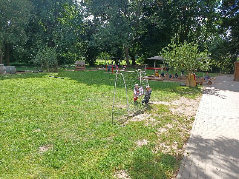Kita Sonnenkäfer – Bild 3