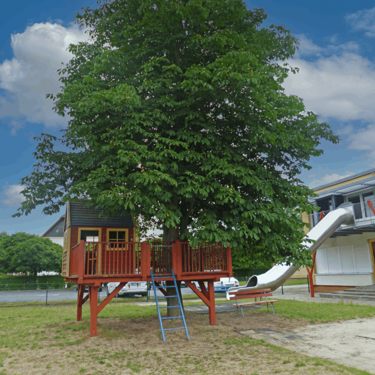 Kita Sonnenschein – Bild 3