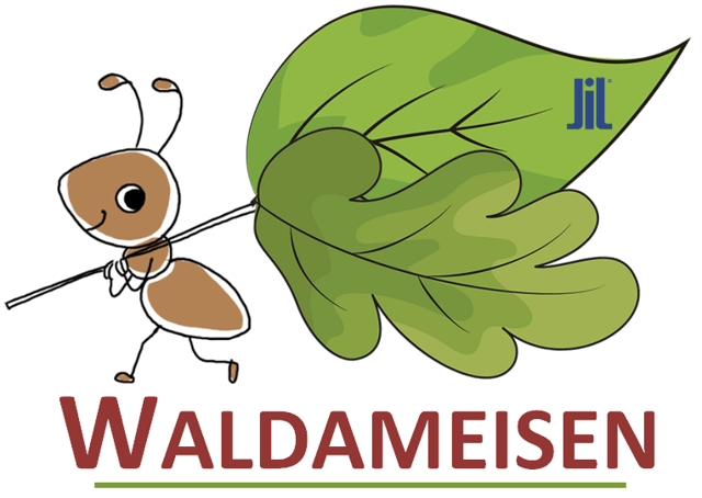 Kita Waldameisen